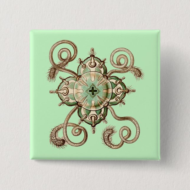 Haeckel Button (Front)