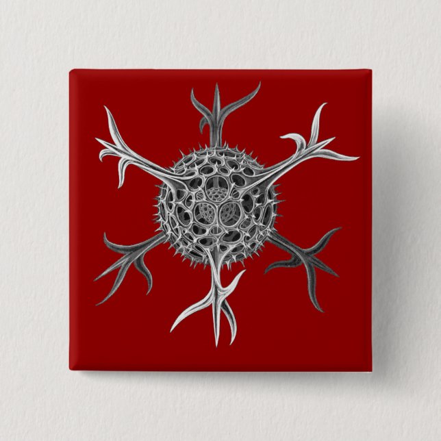 Haeckel Button (Front)