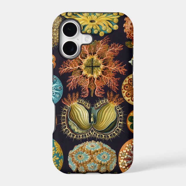 Haeckel Case-Mate iPhone Case (Back)