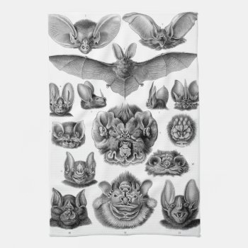Haeckel Chiroptera Towel by haeckel_inspired at Zazzle