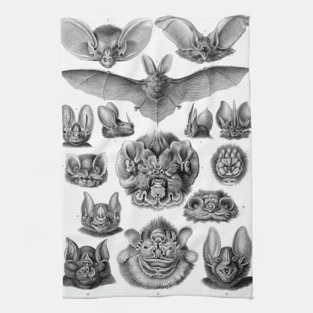Haeckel Chiroptera Towel (Vertical)