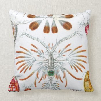 Haeckel Copepoda Throw Pillow by haeckel_inspired at Zazzle