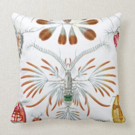 Haeckel Copepoda Throw Pillow