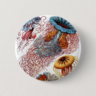 Haeckel Discomedusae Pinback Button