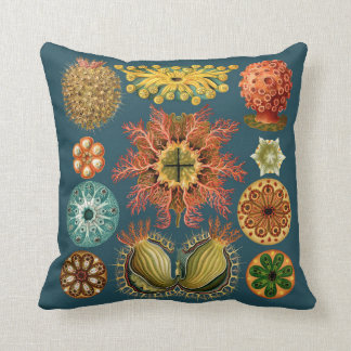 Haeckel Echinoderm pillow teal