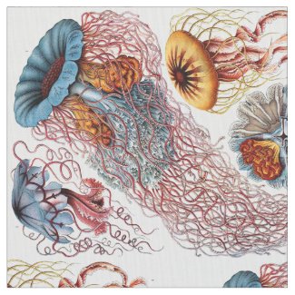 Haeckel Fabric No. 1