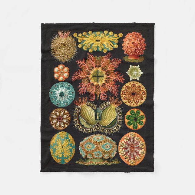 Haeckel Fleece Blanket (Front)