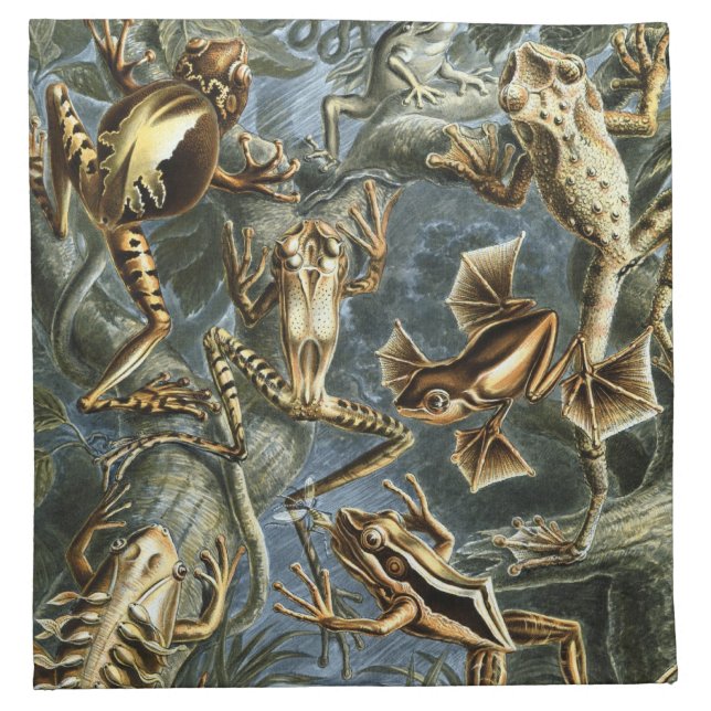 Haeckel Frogs Cloth Napkin (Front)