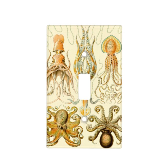 Haeckel Gamochonia Light Switch Cover (Front)