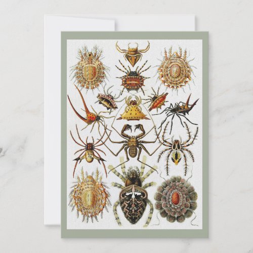  Haeckel Golden Spiders plate 66 Invitation