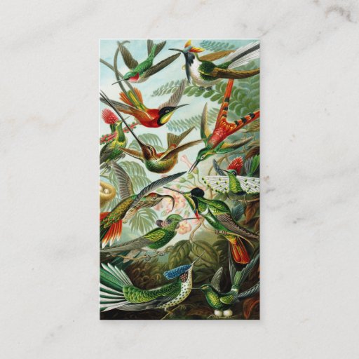 Customizable Haeckel Hummingbirds Business Cards