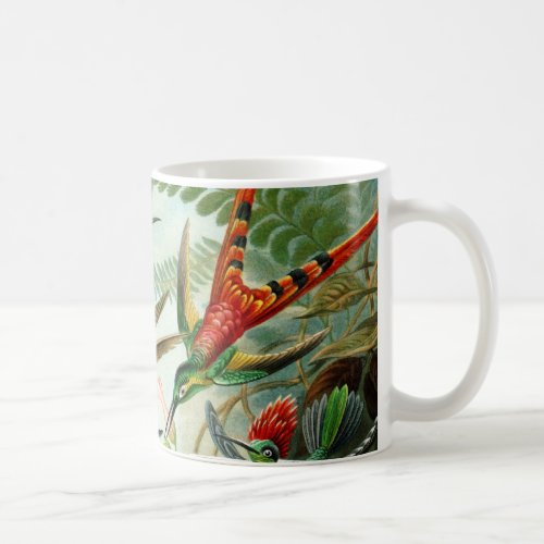Haeckel Hummingbirds Coffee Mug
