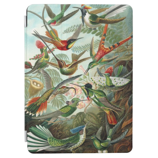 Haeckel Hummingbirds iPad case (Front)
