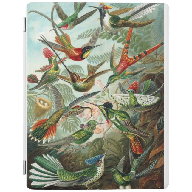 Haeckel Hummingbirds iPad case (Front)