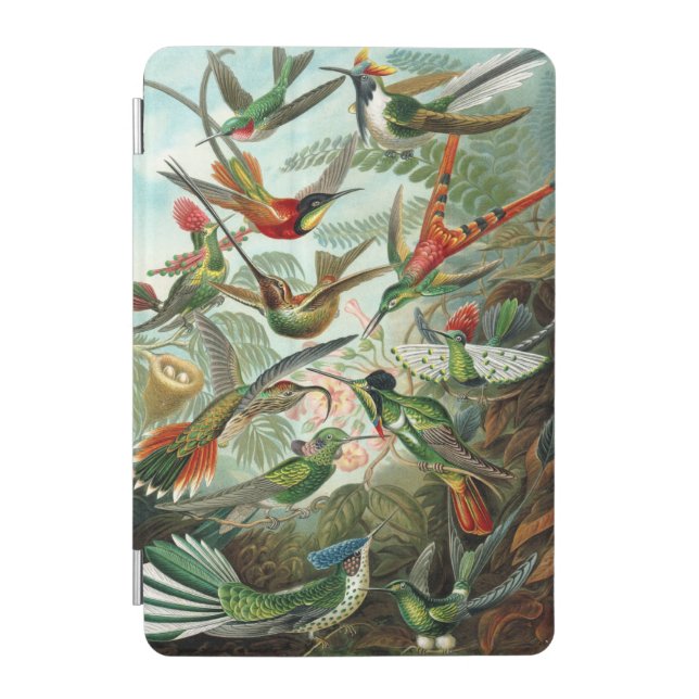 Haeckel Hummingbirds iPad case (Front)