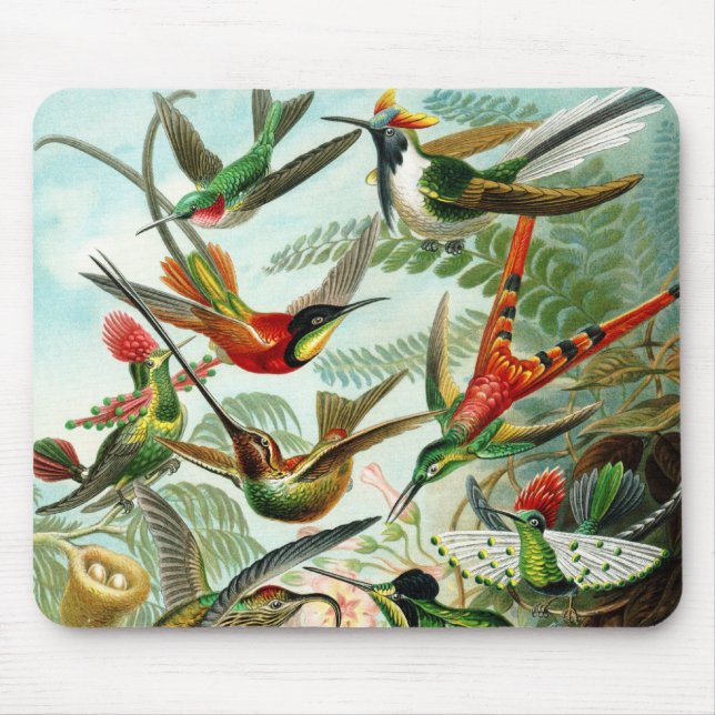 Haeckel Hummingbirds Mouse Pad (Front)