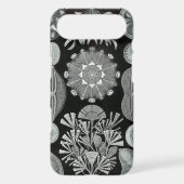 Haeckel iPhone Case - Diatomea (Back)