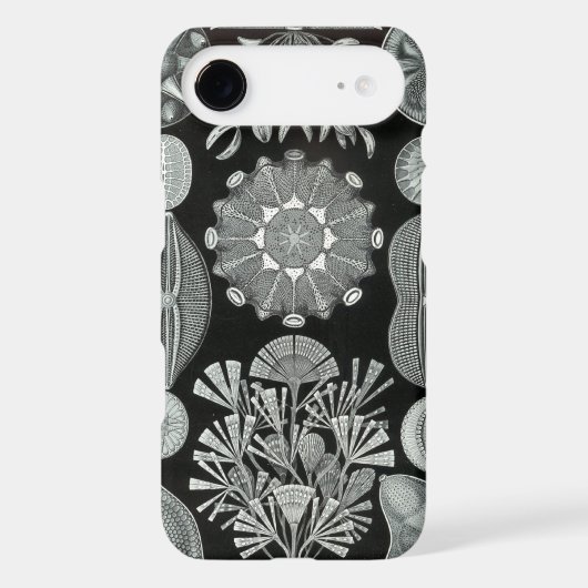 Haeckel iPhone Case - Diatomea (Back)