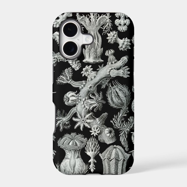 Haeckel iPhone Case - Gorgonida (Back)