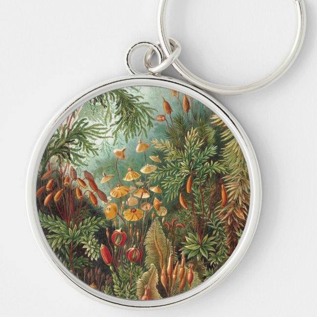 Haeckel Keychain (Front)