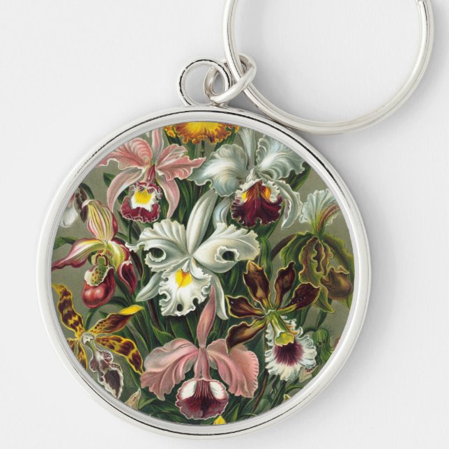 Haeckel Keychain (Front)