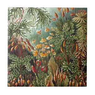 Haeckel Moss, Grass, and Fungus Mushroom Painting Ceramic Tile