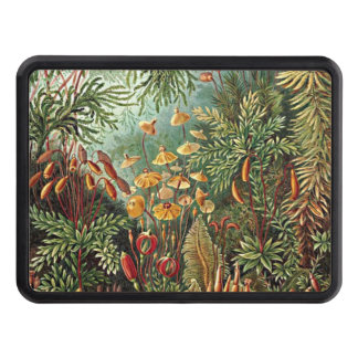 Haeckel Moss, Grass, and Fungus Mushroom Painting Hitch Cover
