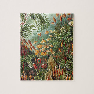 Haeckel Moss, Grass, and Fungus Mushroom Painting Jigsaw Puzzle