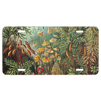 Haeckel Moss, Grass, and Fungus Mushroom Painting License Plate
