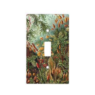 Haeckel Moss, Grass, and Fungus Mushroom Painting Light Switch Cover