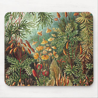 Haeckel Moss, Grass, and Fungus Mushroom Painting Mouse Pad
