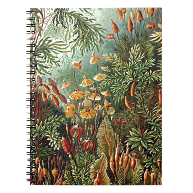 Haeckel Moss, Grass, and Fungus Mushroom Painting Notebook (Front)