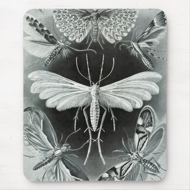 Haeckel Moths Mouse Pad (Front)
