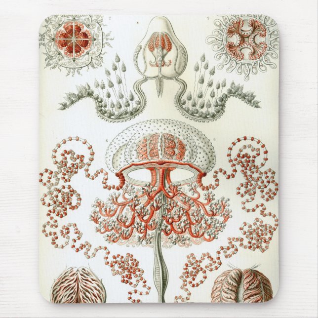 Haeckel Mouse Pad (Front)