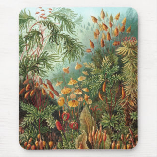 Haeckel Mouse Pad