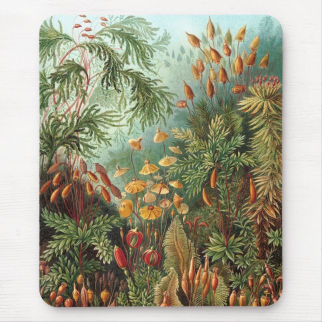 Haeckel Mouse Pad (Front)