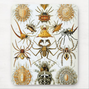 Haeckel Mouse Pad