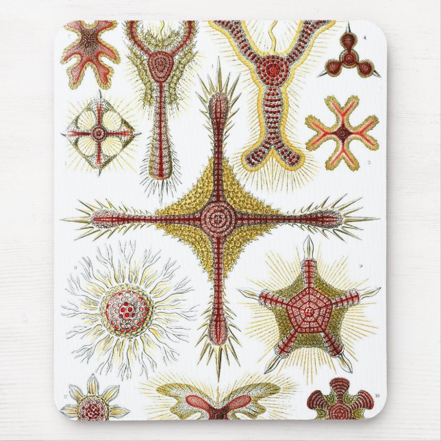 Haeckel Mouse Pad (Front)