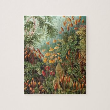 Haeckel Muscinae Jigsaw Puzzle by haeckel_inspired at Zazzle