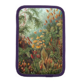 Haeckel Muscinae Sleeve For iPad Mini (Back)