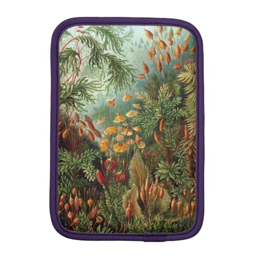 Haeckel Muscinae Sleeve For iPad Mini (Back)