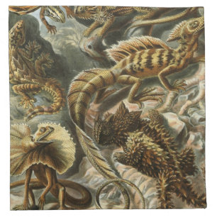Haeckel Napkin