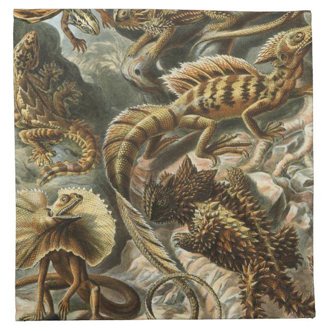 Haeckel Napkin (Front)
