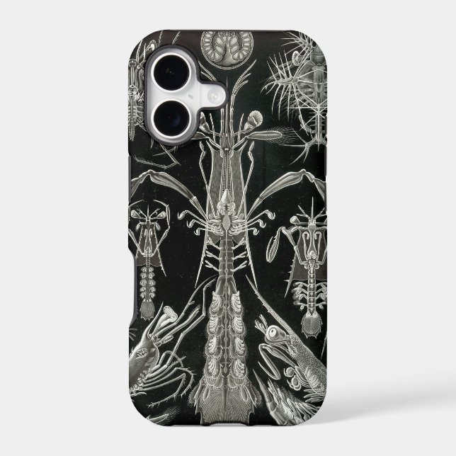 Haeckel Negative Case-Mate iPhone Case (Back)