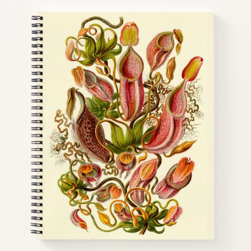 Haeckel Nepenthes Pitcher Plant Illustration Notebook