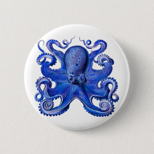 Haeckel Octopus Blue Button