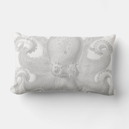 Haeckel Octopus Pillow in White