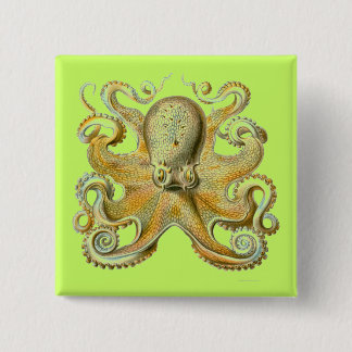 Haeckel Octopus Pinback Button