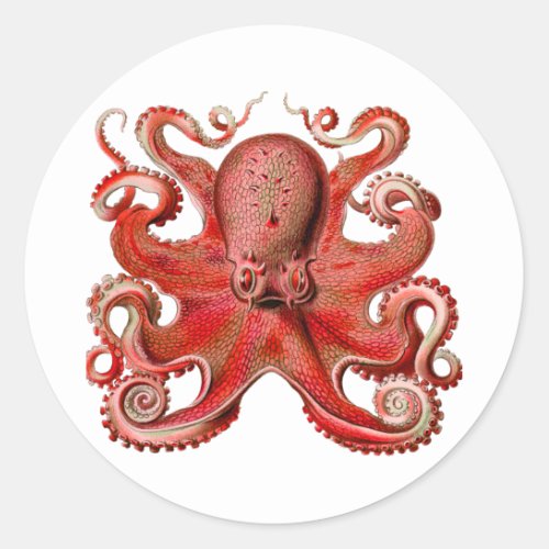 Haeckel Octopus Red Classic Round Sticker