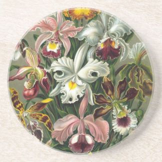 Haeckel Orchids Drink Coaster